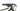 Ghost Lector FS SF Universal 2022 - SRAM NX - Syntace W28i