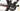 Specialized Roubaix Pro SL3 - Shimano Ultegra Di2 - Forza