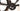 BMC Roadmachine 01 - Shimano Ultegra Di2 - Fiftytwo Carbon