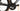 Giant Propel Advanced Pro 0 2024 - Shimano Ultegra Di2 2x12sp - Giant SLR 1 50