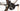 Focus Atlas 8.7 - Shimano GRX - DT Swiss G1800