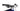 BH ATOMX LYNX CARBON PRO 9.7 2022 - Shimano XT - Race Face Ar 30 TR
