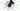Giant TCR Advanced Pro 0 2024 - Shimano Ultegra Di2 2x12sp - Giant SLR 1