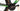 Giant Propel Advanced Pro 0 2022 - Shimano Ultegra Di2 2x11sp - Giant SLR One