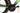 Giant Propel Advanced Pro 0 2022 - Shimano Ultegra Di2 2x11sp - Giant SLR One