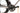 BH Ultralight EVO 9.5 2022 - SRAM Red AXS 2x12sp - DT Swiss ERC 1100