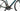 Kross Vento 9.0 2025 - Shimano 105 Di2 2x12sp - Vision Team 35 Disc