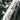 Eddy Merckx Mendrisio 105 2025 - Shimano 105 2x12sp - Forza Norte db Forza 3 Beaufort