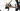 Eddy Merckx Mendrisio 7E7 2024 - Shimano 105 Di2