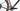 Ridley Kanzo Adventure 2026 - SRAM Force XPLR - DT Swiss GRC1600