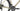 Stevens Gavere 2026 - Shimano CUES 1x10sp - Oxygen G25