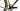 Ridley Kanzo Adventure 2025 - SRAM Force XPLR - DT Swiss GRC1600