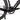 Ridley E-Astr 2025 - SRAM Apex XPLR AXS 1x12sp