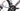 Eddy Merckx 525R 2025 - Shimano Ultegra Di2 2x12sp - Forza Skiron50