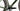 Ridley ASTR RS 2025 - SRAM Force XPLR 1x12sp - DT Swiss GRC1600