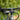 Ridley RES U800 2025 - Shimano Deore