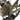 Ridley Kanzo Adventure Classified 2025 - Shimano GRX Di2