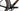 Ridley Astr RS 2024 - SRAM Force AXS 1x12sp - DT Swiss GRC 1600 SPLINE