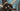 Focus Izalco Max 8.9