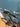 Focus Izalco Max 9.7 2026