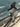 Scott Addict RC 2025 - Shimano Ultegra Di2 - SYNCROS Capital 1.0 Disc Tubeless