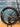 Focus Izalco Max 9.9