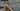 Focus Izalco Max 9.7 2026