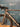 Focus Izalco Max 9.7 2026