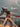 Focus Izalco Max 8.9