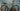 Focus Izalco Max 9.7 2026
