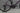 Lapierre Xelius SL 5.0 Di2 2024 - Shimano 105 Di2 - DT Swiss E 1800