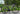 Kuota Kobalt 2024 - Shimano Ultegra - Shimano RS