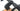 3T Racemax WPNT 2026 - Sram Rival XPLR AXS 1x13sp - 3T Carbon