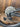 Focus Thron 6.8 2022 - Rodi TRYP30