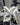 Megamo Raise 03 2025 - Shimano Ultegra Di2 2x12sp - DT Swiss ARC  1100