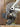 Specialized Aethos 2021 - SRAM Rival eTap AXS 2x12sp - Fulcrum Racing 3 DB