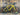 Specialized Diverge FACT Carbon 8R 2024 - Shimano GRX 11-speed - DT Swiss G 540