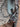 SCOR 4060 Z LT 2023 - Syncros Silverton 1.5