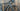 Colnago V4Rs 2023 - Campagnolo Super Record EPS - Shamal Dual Profile