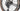Cannondale Topstone Carbon 1 Lefty 2024 - SRAM RIval XPLR AXS 1x13sp - Reserve 40 | 44 GR