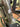 Cannondale Moterra Neo 5 2021