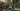 Megamo Reason CRB 03 2027 - SRAM Eagle Electronic 1x12sp - Megamo 29 SL