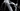 Wilier Karga Comp 2026 - Shimano XT 1x12sp - Shimano WH-MT620