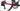 Cannondale Supersix Evo Hi-Mod 2025 Team EF Education-EasyPost size 51 Shimano Dura-Ace Di2 2x12sp