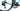 Bianchi Specialissima RC 2025 Team Arkéa - B&B Hotels Mathis Le Berre size 53 Shimano Dura-Ace Di2 2x12sp