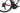 Cannondale Supersix Evo Hi-Mod 2025 Team EF Education-EasyPost Mihkels size 56 Shimano Dura-Ace Di2 2x12sp