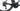 Factor Ostro 2.0 2024 Jake Stewart size 54 Premier Tech Shimano Dura Ace Di2 2x12sp