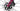 Cannondale Supersix Evo Hi-Mod 2025 Sarah Roy size 48 Team EF Education-EasyPost Shimano Dura-Ace Di2 2x12sp