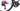Cinelli Pressure II 2025 size XL Shimano 105 Di2 2x12sp
