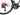 Cinelli Pressure II 2025 size XL Shimano 105 Di2 2x12sp